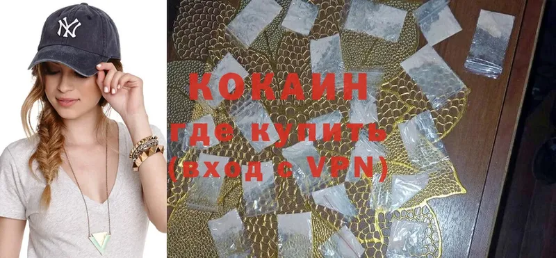 COCAIN FishScale  купить закладку  Болхов 